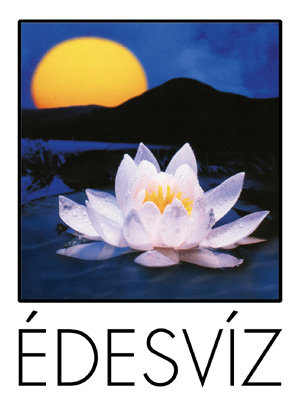Édesvíz Kiadó